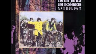 Tommy James amp The Shondells Draggin The LineLyrics [upl. by Barboza]