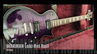 Warman Pickup Comparison Stock Ltd GampB Pickups vs Warman Loki Hot Rails [upl. by Hestia409]