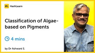 Different Classification of Algae based on Pigments [upl. by Gothard]