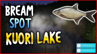 BREAM SPOT NA KUORI LAKE  EASY   Russian Fishing 4 [upl. by Kashden218]