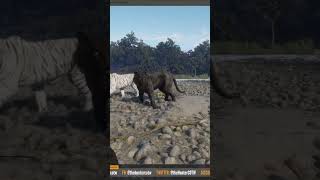 Bengal Tiger Spotlight  Fur Types and More  theHunter Call of the Wild shorts tiger [upl. by Maddocks]