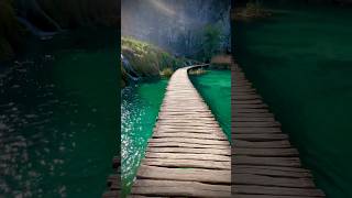 Plitvice Lakes National Park Croatia plitvicelakesnationalpark croatia shorts [upl. by Abdel24]