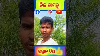 ନିଜ କାମକୁ ସମ୍ମାନ ଦିଅ 👍 Odia Inspirational Stand Up Motivation Video By Mr Baleswaria Tapu🥰odia [upl. by Ahcsrop583]