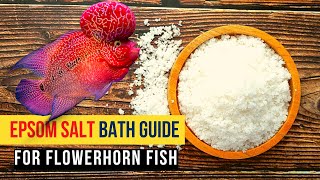 Epsom Salt Bath Guide for Flowerhorn Fish  must watch [upl. by Swayder]