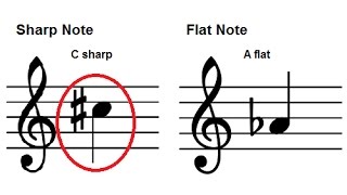 How To Read Music  Accidentals  Sharps and Flats on the Staff  Piano Lesson 12 [upl. by Oicapot]