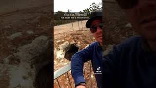 Massive 6 Cave system in South Australia [upl. by Reagan48]