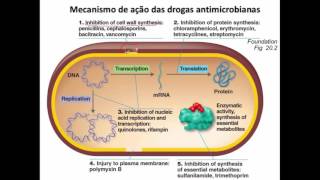 Curso de Farmacologia Aula 29  Introducao a antibioticoterapia [upl. by Nyleda]