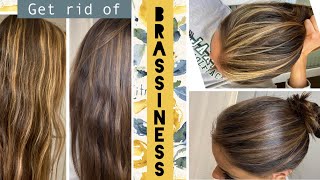 TONING your hair at home  STEP by STEP how to get rid of BRASSINESS in Highlights [upl. by Getraer674]