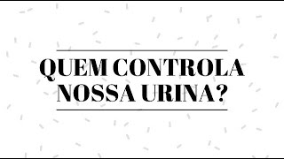 Quem controla a nossa Urina A bexiga ou o esfíncter Como nós exercemos esse controle [upl. by Latsyrc]