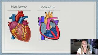 Anatomia Interna CardiÌaca [upl. by Darwin]