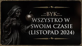 ♉ BYK  Rozkład Ogólny  quotWszystko w swoim czasiequot Tarot Listopad 2024 [upl. by Eelrahc]