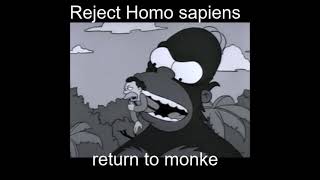 Homer rejects humanity returns to monke [upl. by Carri750]