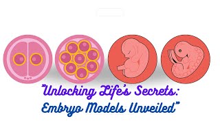 quotUnlocking Lifes Secrets Embryo Models Unveiledquot [upl. by Eignav]