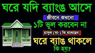 সাবধান যদি আপনার ঘরেও ব্যাঙ আসে তাহলে এই কাজটি ভুল করেও করবেন না frog in Islam Amolবেহেশতের পথে [upl. by Amber]