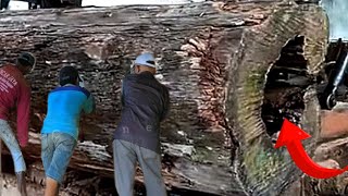 valuable discovery in hollow wood  sawmill [upl. by Lina]