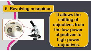 Parts and Function of Compound Microscope [upl. by Leanora]