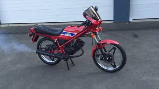 Honda MB 5 Red Walkaround [upl. by Nathan240]