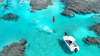 Great Barrier Reef Fishing in 1 foot of water [upl. by Cyprus]