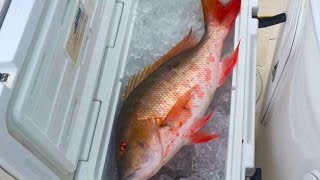 Filleting a Large Fish with a small Knife Snapper Saltwater [upl. by Nats869]