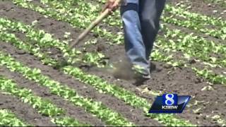 Highway 101 dedicated to Braceros 50 years after fatal crash [upl. by Mathi]