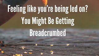 What is breadcrumbing in relationships [upl. by Santini]