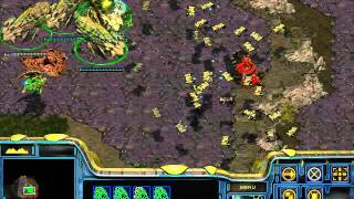 Starcraft Walkthrough Protoss Mission 9 The Right Way To Kill A Cerebrate [upl. by Amena]