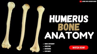 THE HUMERUS ANATOMY [upl. by Humph12]