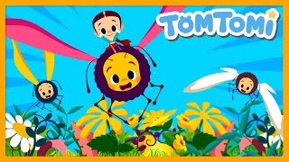 Butterfly🦋  Kpop Kids Song  TOMTOMI [upl. by Aidualc]