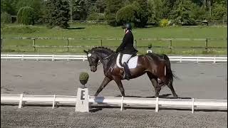 Seraphina CSF  Southlands Spring Dressage Show Training level test 2 [upl. by Aikin]