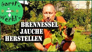 Brennesseljauche selbermachen ganz einfach und unkompliziert [upl. by Rhynd]