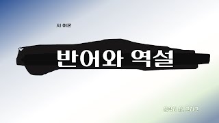 반어와 역설 시의 변화법 시의 표현법 문학과 삶 그리고 [upl. by Itsirc]