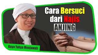 Cara Bersuci dari Najis Anjing  Buya Yahya Menjawab [upl. by Kati]