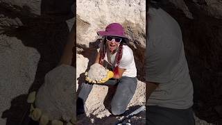 15 pound geode reveal from Dugway Geo beds Geology ￼ crystals rockhound ￼ [upl. by Godderd]