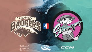 Honey Badgers VS Shenanigans Div 4  24th July  IceHQ Beer League ice hockey [upl. by Anat98]