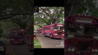 වතුර නාලා song trending bus dj 2024 trending Chathumbusofficialviralvideo [upl. by Eigna194]