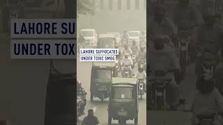 Lahore suffocates under toxic smog [upl. by Alyag]