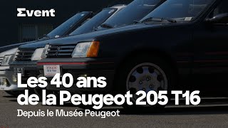 Les 40 ans de la Peugeot 205 Turbo16 S082024 [upl. by Altheta]