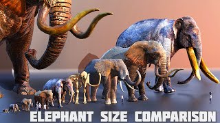 Elephants size comparison  mammoth size comparison 😱 [upl. by Colligan]