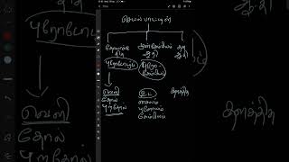 3 types of meristem in Tamil [upl. by Aenitsirhc57]