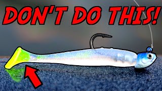 How to Fish a Swimbait Better Than 99 of Fisherman [upl. by Duwe]