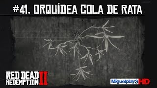 Localización múltiple Orquídea Cola de Rata  41Compendio Plantas  Red dead redemption 2 [upl. by Eyks]