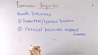 Acute fractures  Common injuries of the spine Biomechanics of spine [upl. by Ardnohsal683]