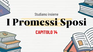 I Promessi Sposi  Capitolo 14 [upl. by Gazo]