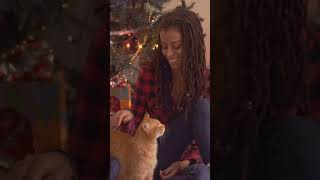 Why Cats Love the Magic of Christmas 🐾🎄🎅🎁🐱 [upl. by Jez]