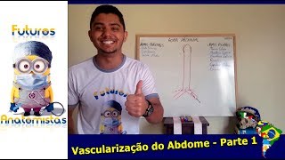 Vascularização do Abdome  PARTE 1  Futuros Anatomistas [upl. by Philbo]