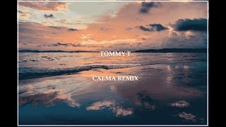 Pedro Capó amp Farruko  Calma Tommy T Remix Edit [upl. by Lanza]