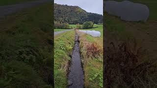 Driving around Nordfjordeid norway norwaynature [upl. by Aneram]