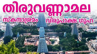 രമണമഹർഷിയുടെ തപോഭൂമി വിരൂപാക്ഷ ഗുഹയും സ്കന്ദാശ്രമവും  SkandashramaVirupaksha Cave ramanamaharshi [upl. by Aciemaj774]