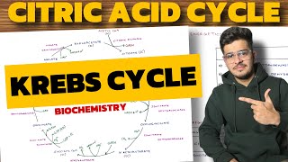 Krebs Cycle Biochemistry  Citric Acid Cycle  TCA Cycle [upl. by Cela]