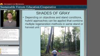 Silviculture 101 Systems and Terminology [upl. by Agnola]